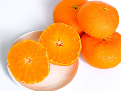 【売切れ】【限定200セット】冬の高級柑橘フルコース便🍊（食べチョク公式）