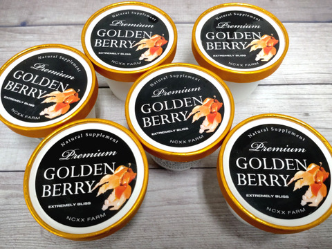 【冬ギフト】果実の美味しさを味わえるゴールデンベリープレミアムアイスギフト（6個入り）