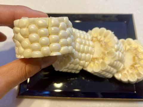 【11/5頃から発送】🚩まるでスイーツ！秋とうもろこし🌽ホワイト6～8本【本州の方限定】