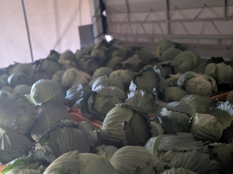 食べてみりん🥦🥬セット