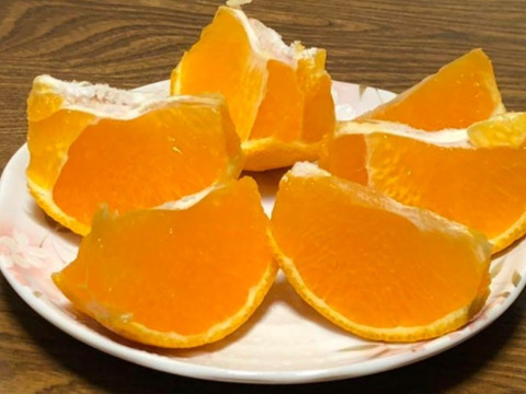 【柑橘食べ比べ】6種 3kg(箱込)