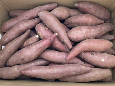 格安SALEスタート!の商品をすべて 低温熟成保管‼茨城県産紅はるかSサイズ5㎏ さつまいも 野菜