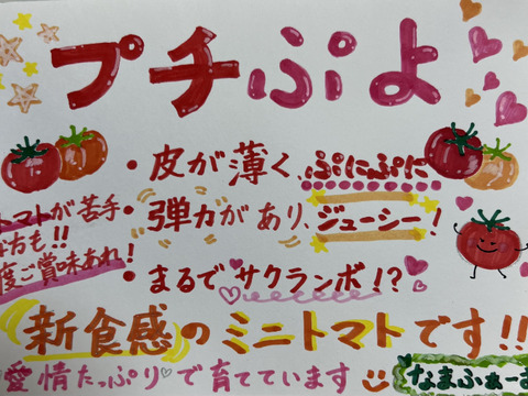 ぷちぷよミニトマト　完熟　 黄色　180ｇ×6ｐ