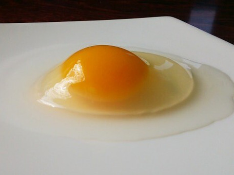 【動物福祉】に配慮して育った鶏肉（モモ＋胸）と平飼い卵！