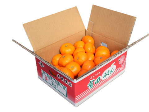 【冬ギフト】【予約割引中】農家直送！完熟有田みかん　S 3kg　～蛍飛ぶ町から旬の便り～　和歌山｜有田｜田口｜ギフト｜こだわり