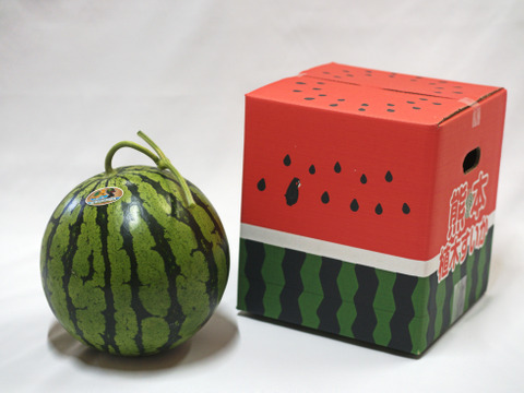 【ゴールデンウイーク】熊本植木　大玉スイカ