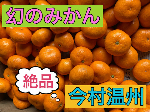 【ご自宅用　幻のみかん】　熟成！蔵出し！　今村みかん　3kg