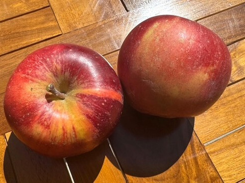 小玉べにこはく！【スマートフレッシュりんご家庭用約3ｋｇ×2箱】（玉数指定不可）