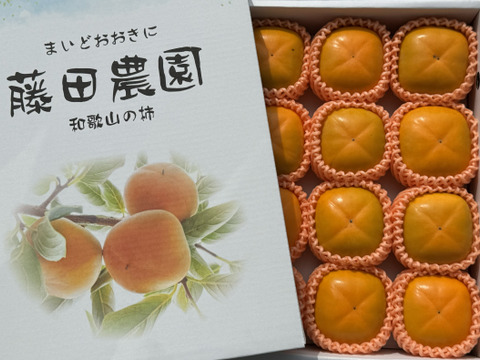 秋穫祭！500円引き！秋の味覚　和歌山のたねなし柿(ギフト用)  10〜12個入り