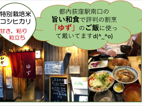 2024新米 甘くてモチモチ！コシヒカリ特別栽培米(5kg)
ー注文後精米してお届けー