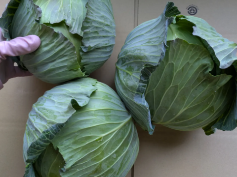 食べてみりん🥦🥬セット