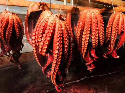 特大‼️肉厚で味の濃い水蛸❗️ 足1本×2パック❗️青森県　津軽海峡産❗️⭐️ 採れたてボイル済み⭐️