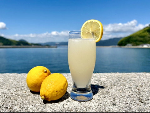 【広島県産】レモン 10kg【防カビ・防腐剤・ワックス不使用】