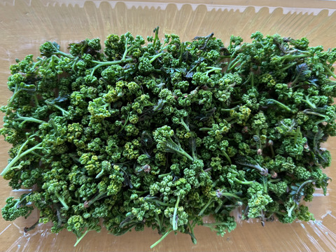 花山椒最後のため特価！気品ある香り！30g （美山産 栽培期間中農薬不使用）＊5月15日午後３時までに発注で5月16日着可能地域のみ対応。＊配達時間指定はご希望にお応えできます。