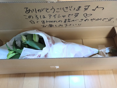 【年末向け含みます】アイシャ3輪3本束 ❤簡易包装❤　※年末のご予約締め切りは12月22日午前9時まで！！