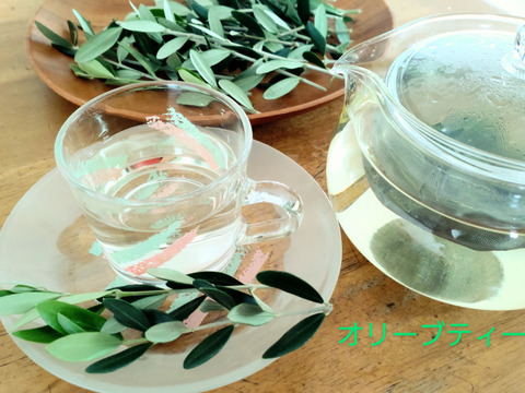 【単品🏣ゆうパック】オリーブとローリエの枝葉🌿約25cmの枝葉🌿各約10本以上、計20本 🏣ゆうパック60サイズにてお届け♪ハーブ🌿☆自然栽培