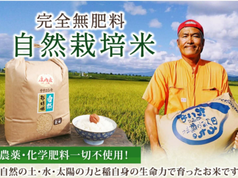 【 玄米・20kg 】米の旨味たっぷり 自然栽培米 つや姫