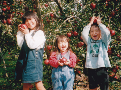 季節のりんご家庭用（約3㎏）7～12玉
つがる、さんさ、シナノドルチェ、早生ふじなど、季節のりんごをミックスしてお届け　
形やキズなどで贈答用になれなかったりんごたち
バラ詰めで