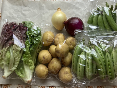 旬べじ詰め合わせ（少量希望の方におすすめです）