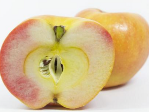 ムーンルージュ（約3㎏）9～14玉
希少りんご　扁円形で表面橙色で果肉が桃色　
若干のキズなどを含みバラ詰めでお届け
