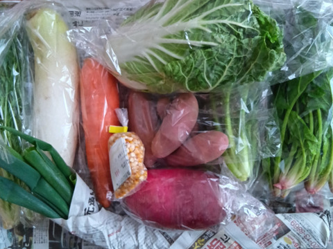 【福袋】【アワード受賞福袋】信州四賀より里山の冬野菜セット　9品目+おまけ