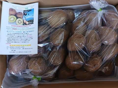 偏平キウイふる～つ Ｓ 4キロ【品種ヘイワード】）