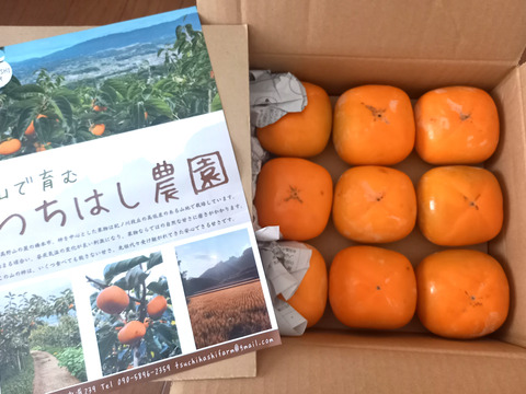 【送料500円引】和歌山のたねなし柿【北海道以外】 5kg