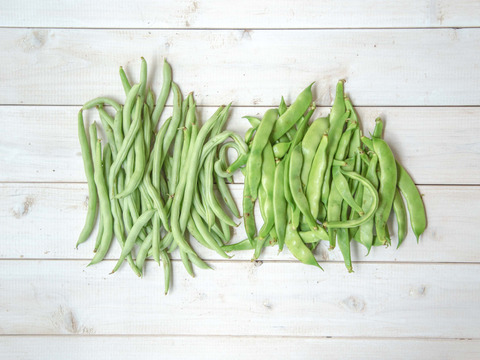 お得なまとめ買いセット 自然栽培 栗インゲン250g なりぶしインゲン250g 山形県産 食べチョク 農家 漁師の産直ネット通販 旬の食材を生産者直送 お得なまとめ買いセット 自然栽培 栗インゲン250g なりぶしインゲン250g 山形県産 食べチョク 農家 漁師の産直ネット通販 旬の食材を生産者直送