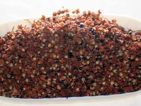 ２種組み合わせ【天日干し紫蘇梅干し300㌘4個＋乾燥山椒100g1個】和歌山産