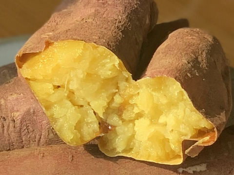 【訳あり】紅はるかM〜Lサイズ／10kg