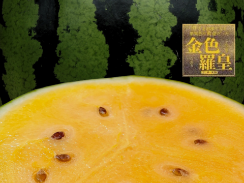 まえだの大玉すいか６～７kg　金色羅皇