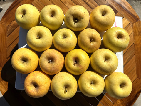 小玉はるか！【スマートフレッシュりんご家庭用約3ｋｇ】（玉数指定不可）