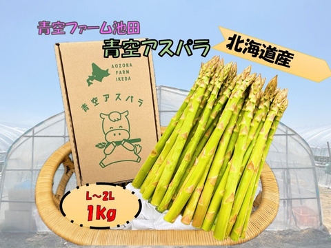 2026年北海道産！丁度よくて使いやすい！青空ファーム池田の青空アスパラ(L-2Lサイズ/1kg)