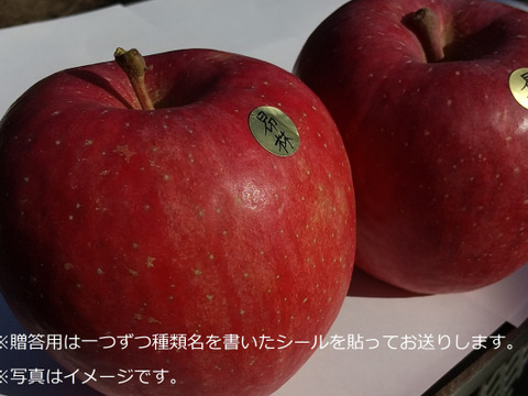 【予約販売】濃厚果実！余市産りんご食べ比べ(*^^*)♪おまかせ3種セット(贈答用  5kg)