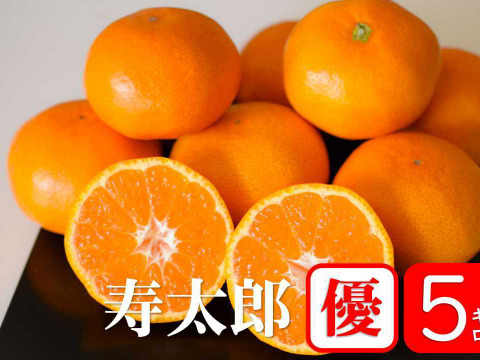 ◇◇2月から旬◇◇ 寿太郎みかん(5kg優品) 高級みかん：静岡県産
