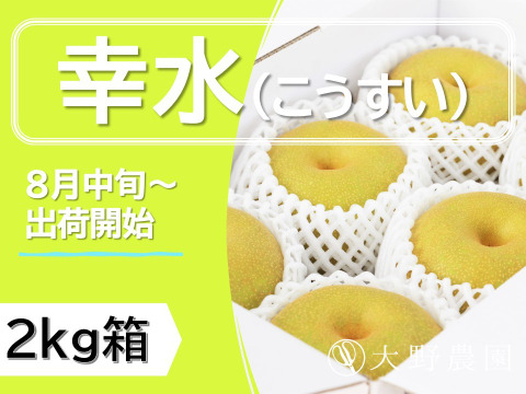 濃厚な甘さと瑞々しさが絶賛の「幸水」6個～4個程度（2㎏程度）