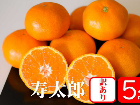 毎年大好評！！【訳あり5kg】　寿太郎みかん　2月からのみかんは寿太郎
