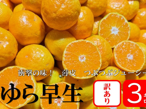 果汁たっぷり、この味衝撃！　ゆら早生　由良　【訳あり　３kg】