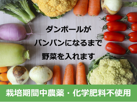 2〜4名様向け野菜セット／野菜6種＋加工品