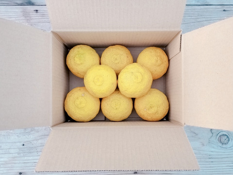 【コンビニ支払い用】11月10日～発送 有機JAS認証ゆず（黄玉・優品）3kg