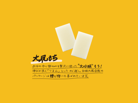 ❝もち愛❞がつまった餅【大凧もち】1袋8枚入（400g）新潟県産こがねもち使用 杵つき 生切り餅 無添加餅