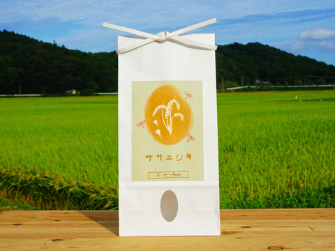 新米【環境保全米】ササニシキ 玄米24kg