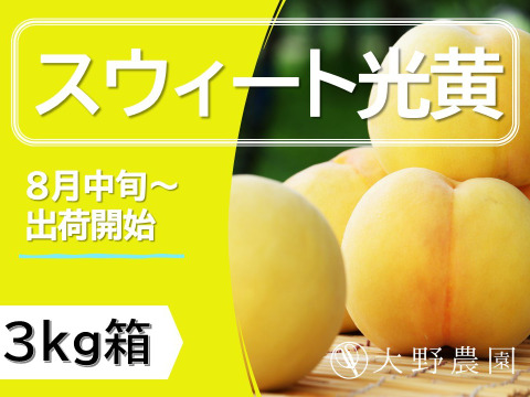＜超希少品種＞【桃：スウィート光黄・3kg箱】スウィートな旨さが自慢の黄桃