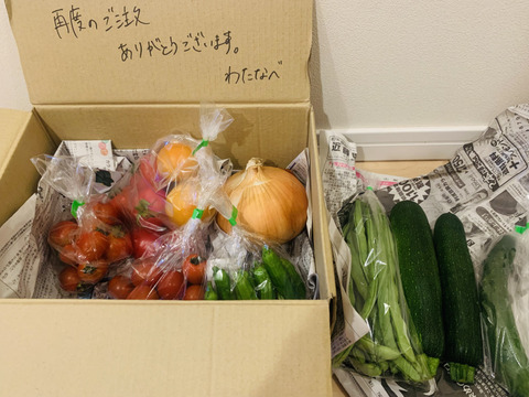 中玉トマトたっぷり🍅【夏ギフト】自然栽培の手渡したくなるお任せ野菜SET（Mサイズ）