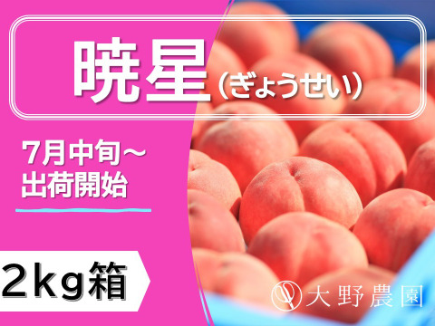 ＜数量限定＞【桃：暁星・2kg箱】甘みが強くてコクのある小玉品種