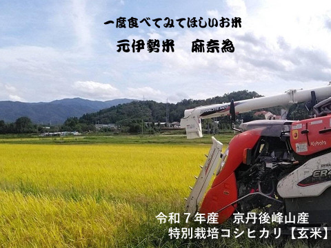 【玄米】令和7年・定期新米予約】♣️京都・京丹後峰山産　特別栽培米コシヒカリ10kg