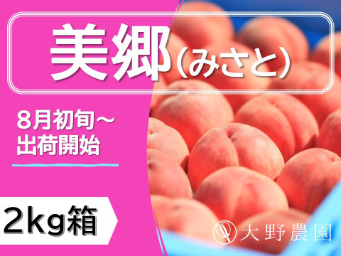＜2024先行予約＞【美郷・2kg箱】新食感の希少品種！甘くて硬い大玉の桃