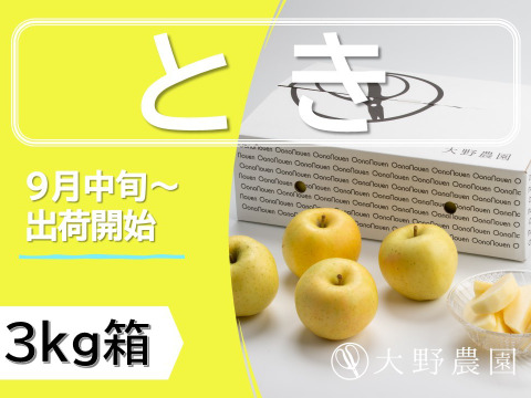 【りんご：とき】黄色いりんごの代表！12～6個程度（3㎏程度）