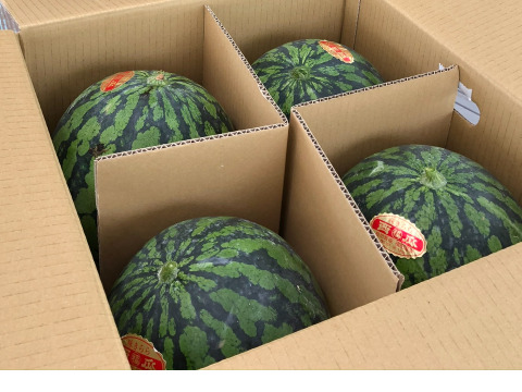 シャキシャキ甘い！味きらら☆丸福すいか（４kg×４玉）