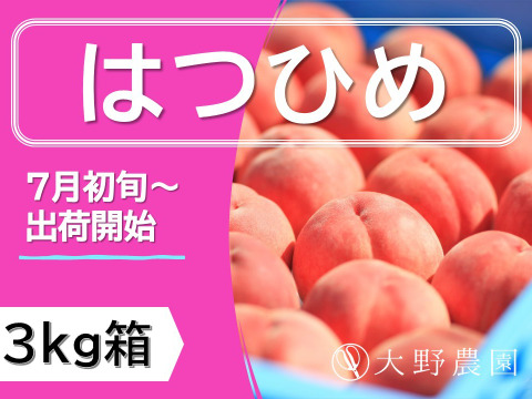 【夏ギフト】はつひめ・3kg程度/福島オリジナル早生品種！果汁あふれる味わい